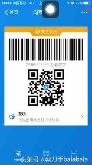 支付宝付款码缩略图