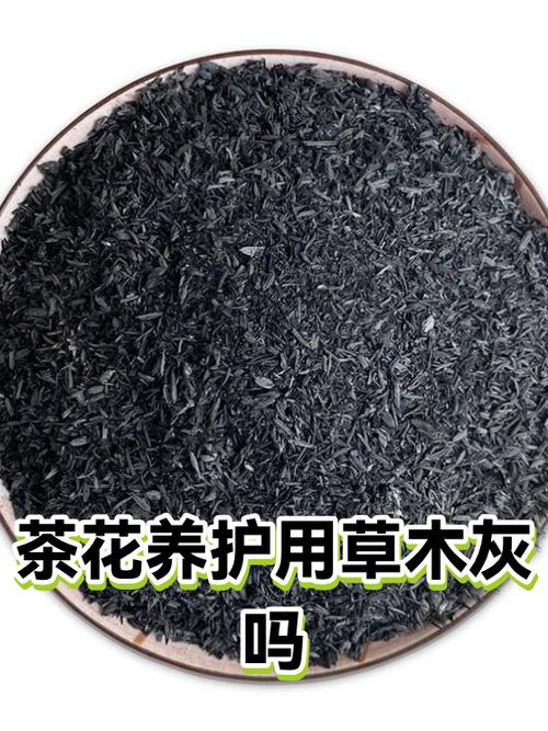 茶树花泡水喝的功效游戏截图