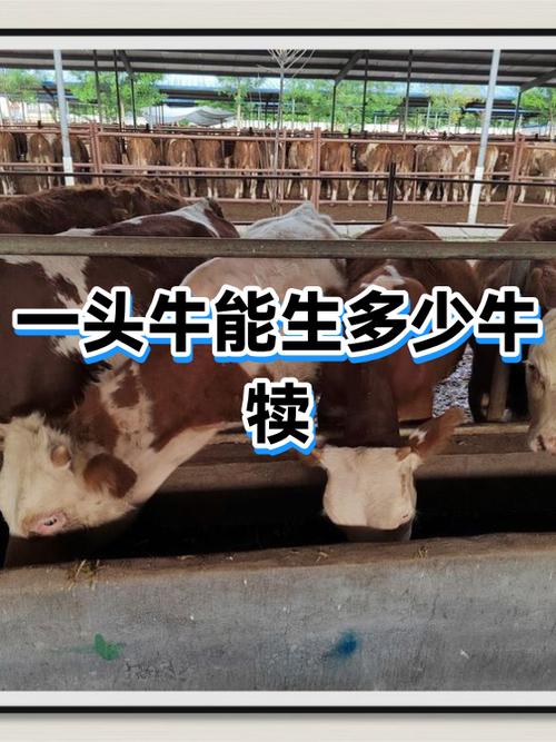 一头牛能赚多少钱游戏截图