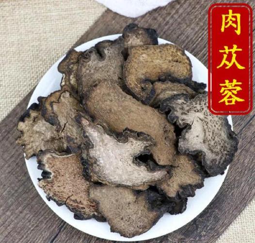 肉苁蓉的样子图片缩略图