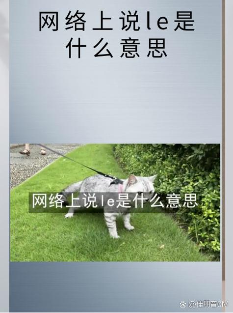小圈le是什么意思缩略图