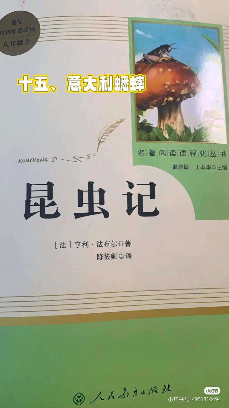 蛐蛐王叫声 播放缩略图
