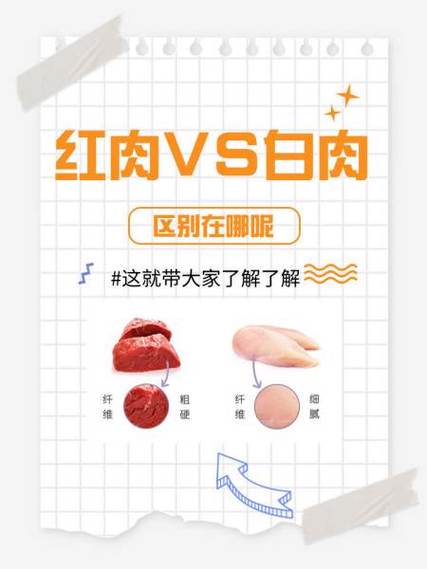 白肉和红肉哪个更健康游戏截图
