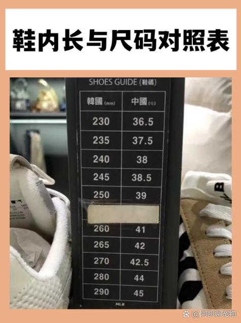 31cm是多大码的鞋缩略图