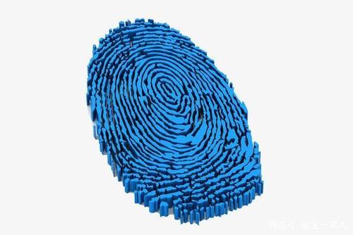 小指底下有竖纹代表什么缩略图