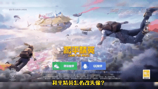 和平精英修改点券游戏截图