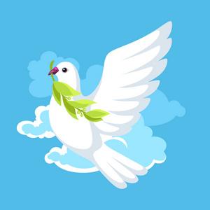 熊盒子新版本白鸽游戏截图