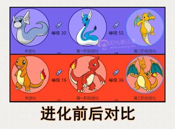 快龙进化顺序图缩略图