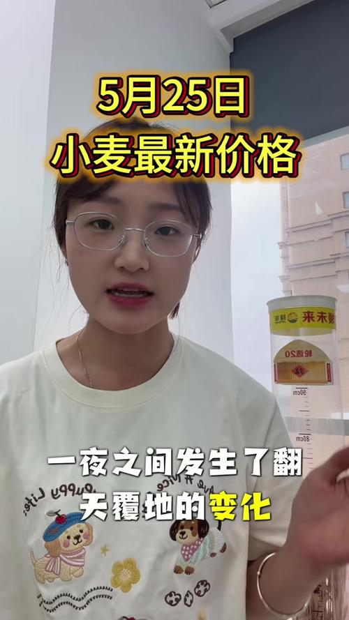 麦圈女一般指什么缩略图