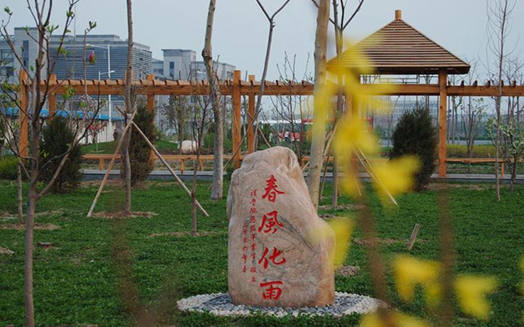 津沽学院缩略图