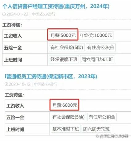 赛维尔一般员工工资多少缩略图