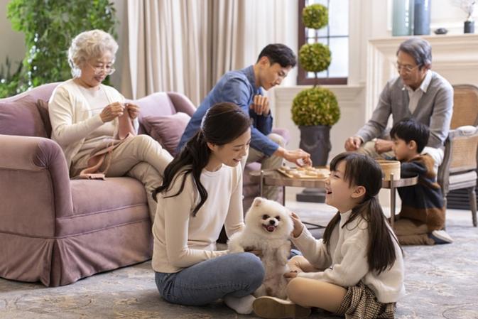 幸福的家庭缩略图