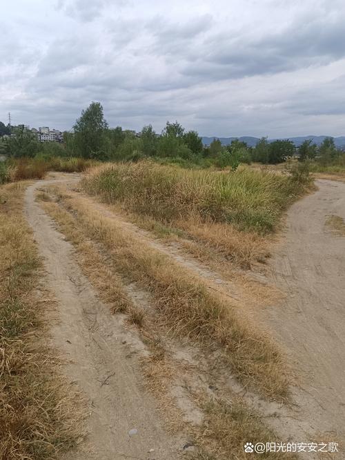 荒野行动开挂辅助器免费游戏截图