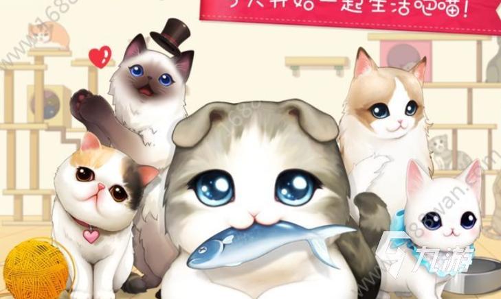 2021新版猫咪官网最新版缩略图