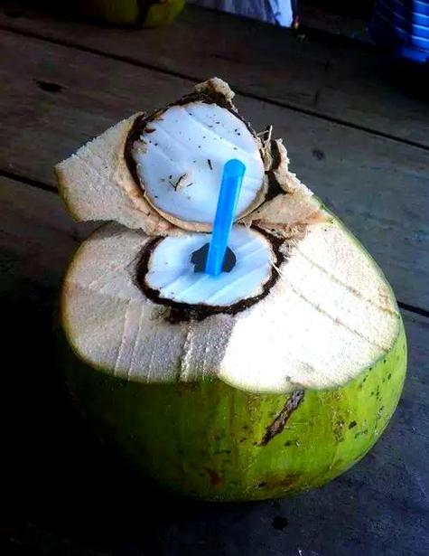 海南椰子好喝吗缩略图