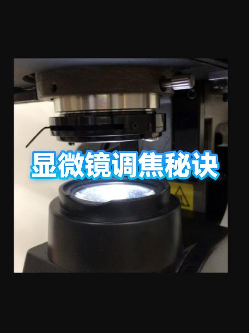 iphone相机怎么调焦距缩略图