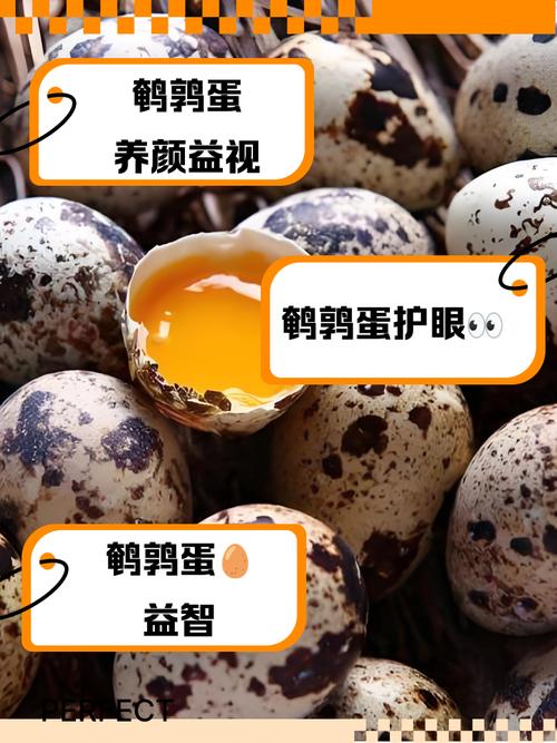 鹌鹑蛋补精子吗缩略图