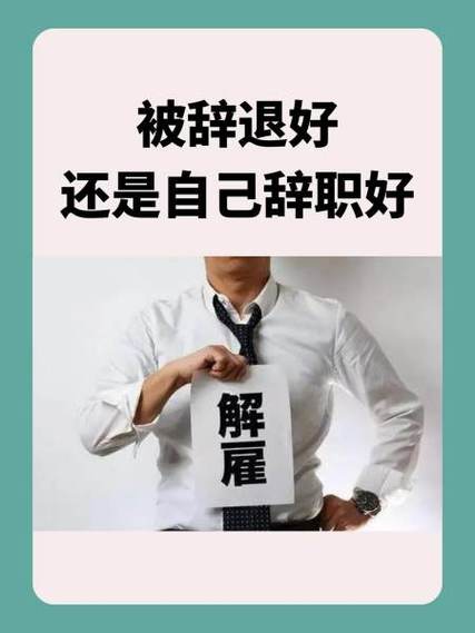 被辞退好还是自己辞职好游戏截图
