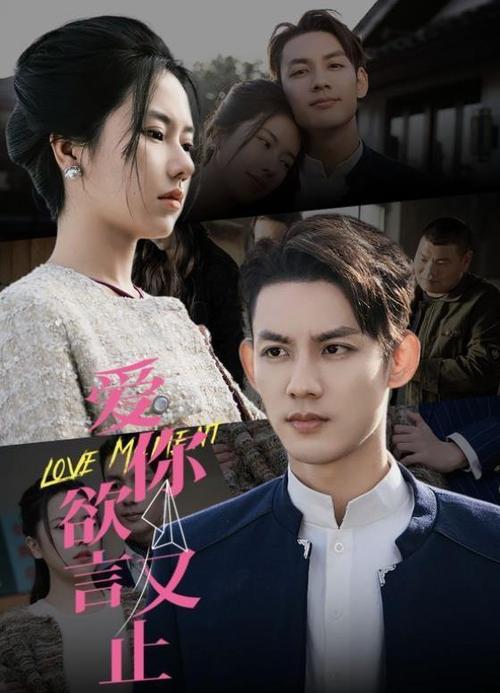 love在线观看免费观看电视剧缩略图