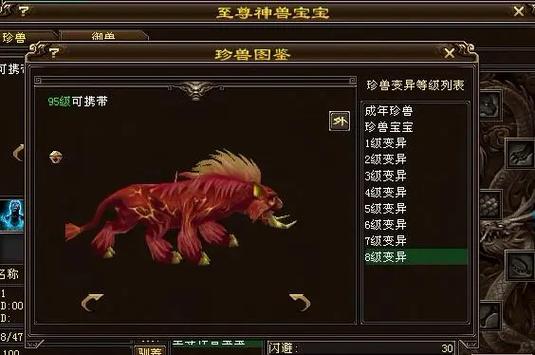 玄武岛宝宝一览表缩略图
