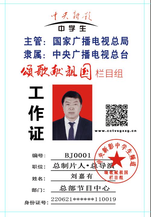 央视工作证类别缩略图