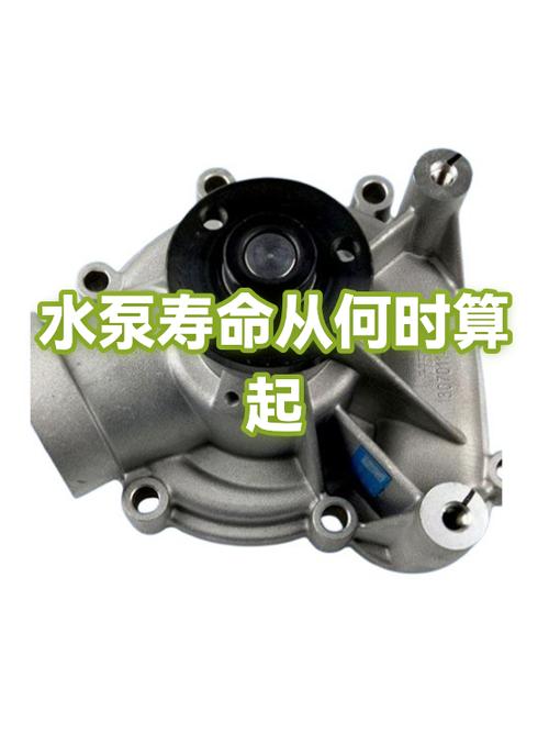 永磁水泵一般寿命几年缩略图