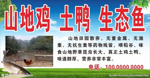 土鸭子的销售广告语缩略图