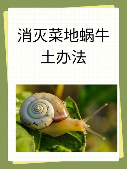 蜗牛阅读免费时长2小时缩略图