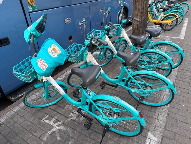 滴滴青桔单车游戏截图