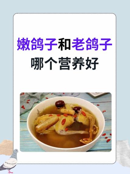 吃鸽子肉的好处与坏处游戏截图