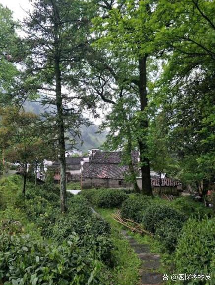 桃源山村山神传承缩略图