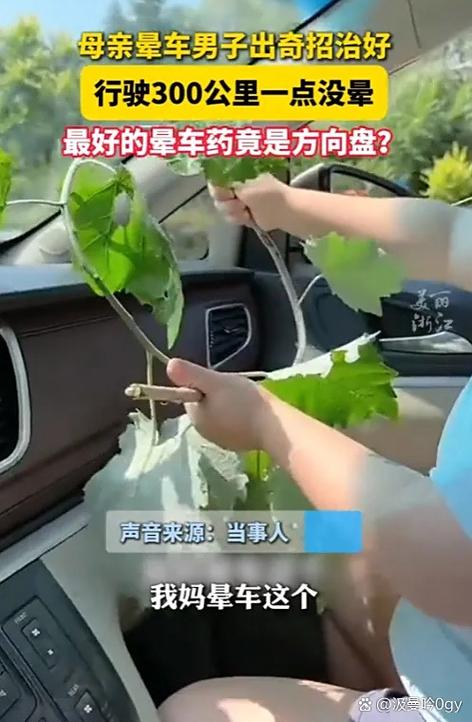 安慰女生晕车的暖心话缩略图