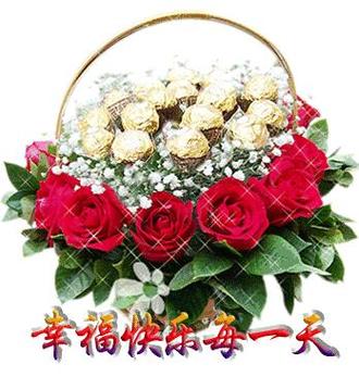 每天祝福视频游戏截图