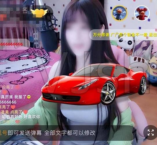 女主播和榜一大哥的小说缩略图