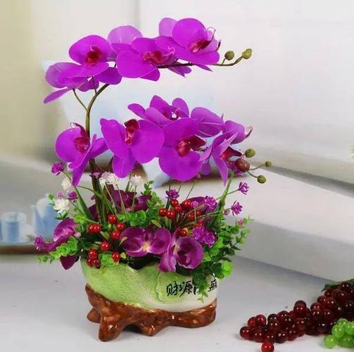 蝴蝶兰花盆景图片缩略图