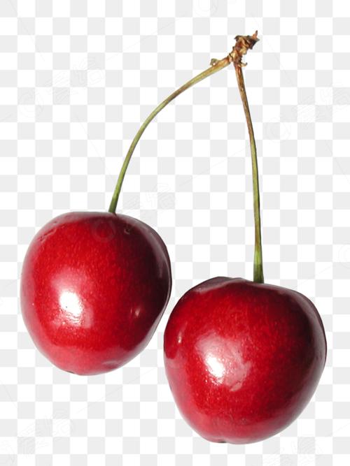 Cherry游戏截图