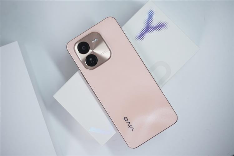 vivo手机套游戏截图