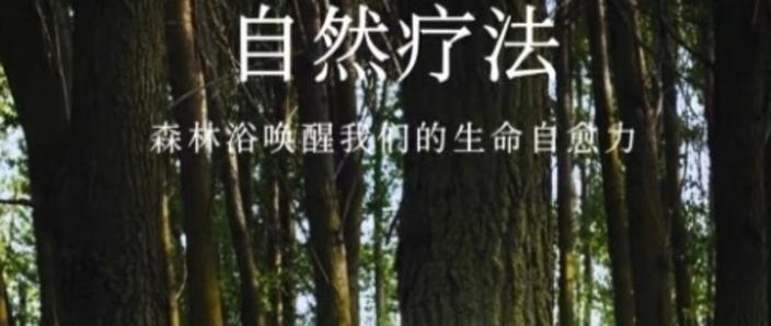治愈系游戏手机游戏