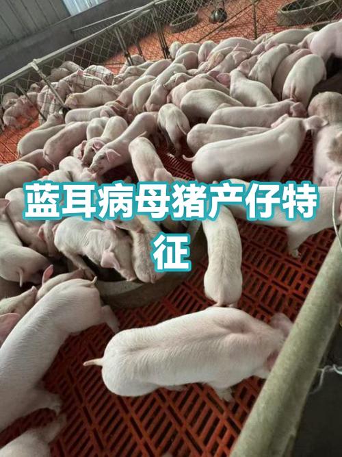 具有蓝牙功能的助听器缩略图