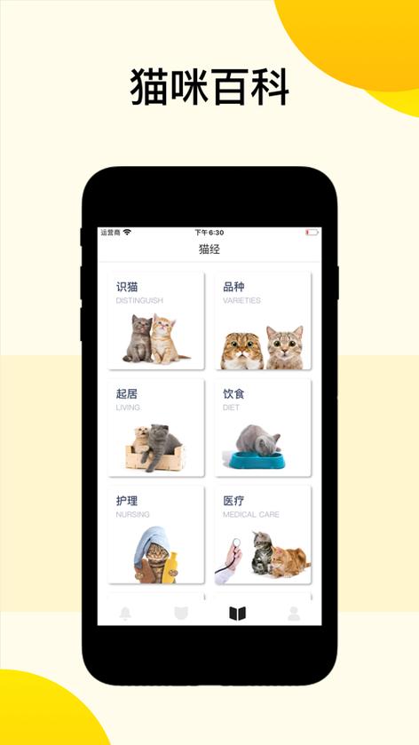 猫咪助手最新版下载缩略图