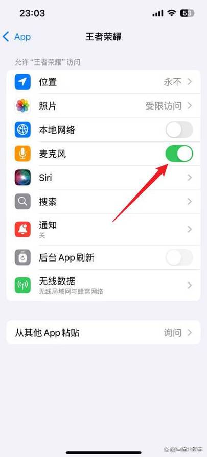 游戏麦克风权限怎么开游戏截图