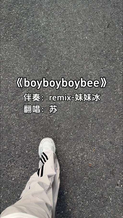 boyboybee歌词完整版游戏截图