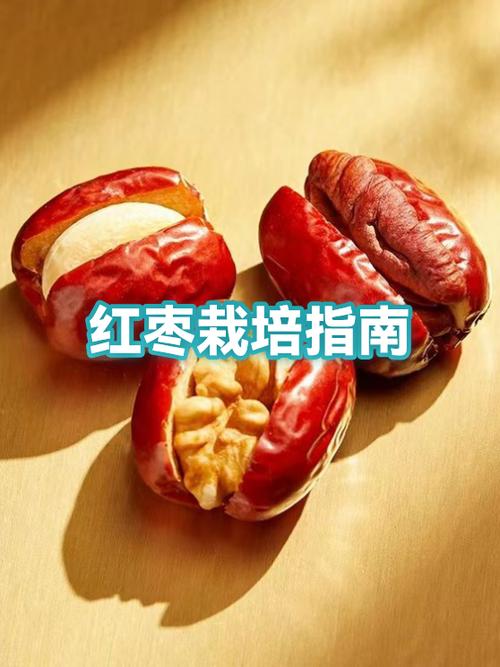 哪个产地的红枣最好缩略图