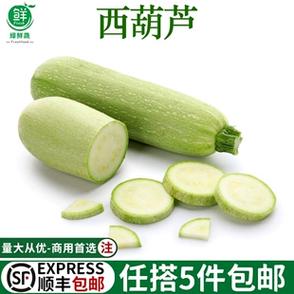 菜类瓜有几种缩略图