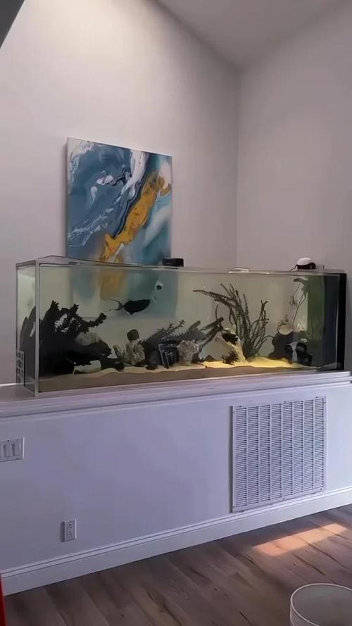 鱼缸不开灯有影响吗游戏截图