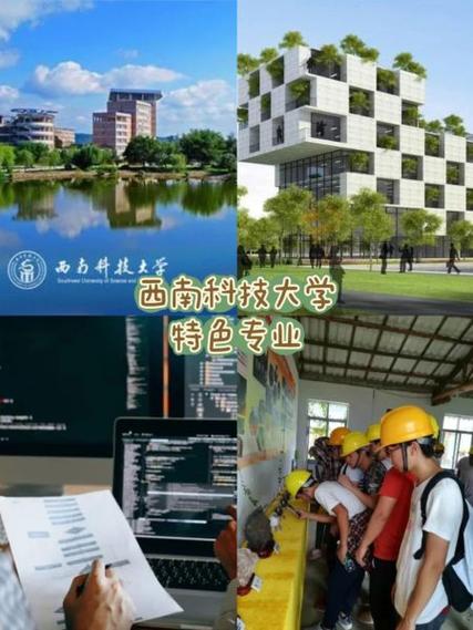 西南科技大学教务管理系统学生端缩略图