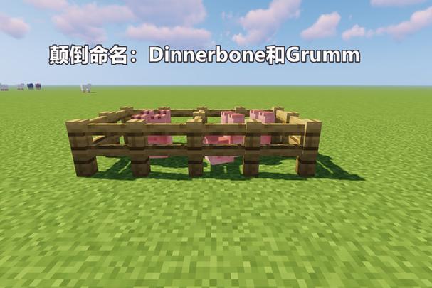 我的世界命名牌彩蛋大全缩略图