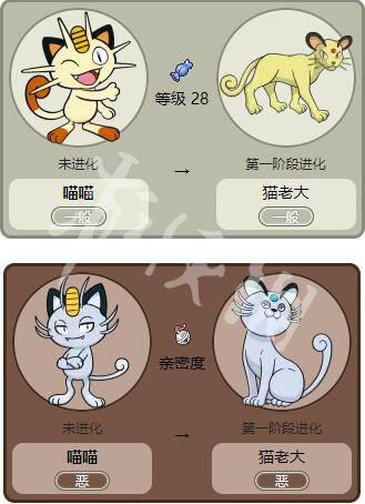 喵喵进化顺序图缩略图