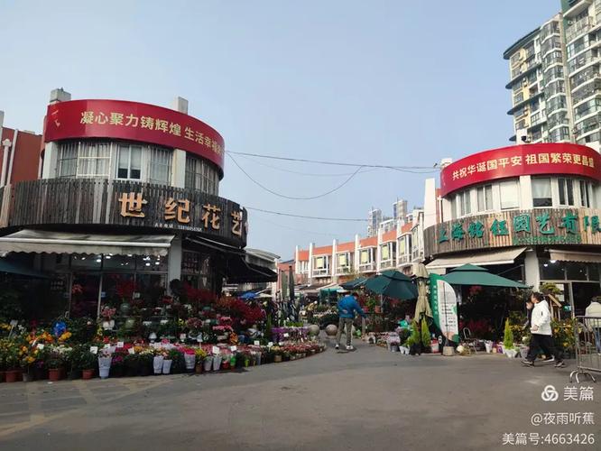 附近的花鸟市场缩略图