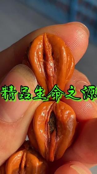 生命之源软件游戏截图